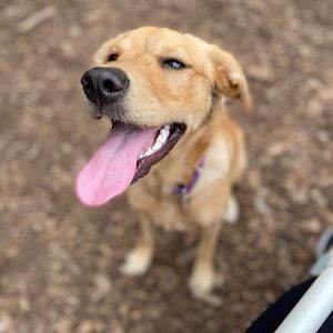 Meet your Posher, Cara